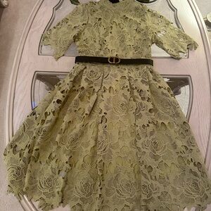 Elegant Lace women  Dress in Olive Green